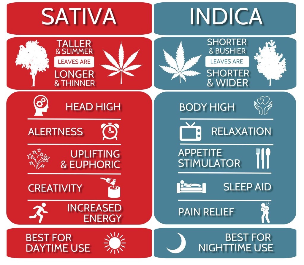 Indica vs. Sativa chart
