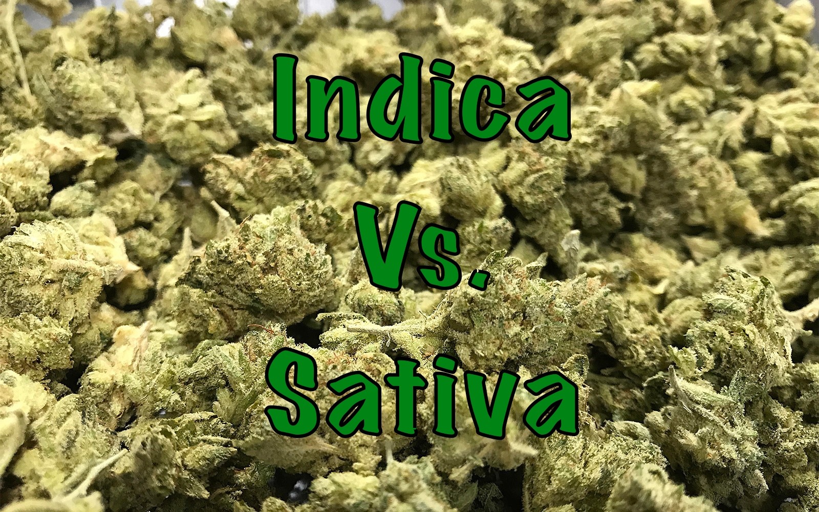 Indica Vs. Sativa